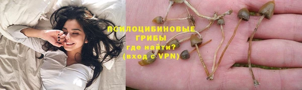 ECSTASY Абаза