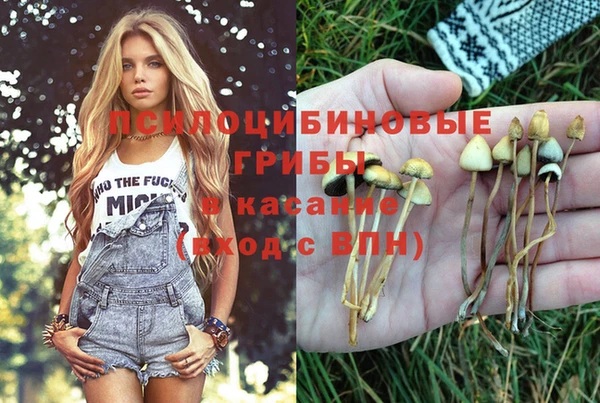 ECSTASY Абаза