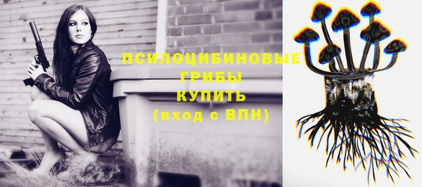 молекула духа Россошь