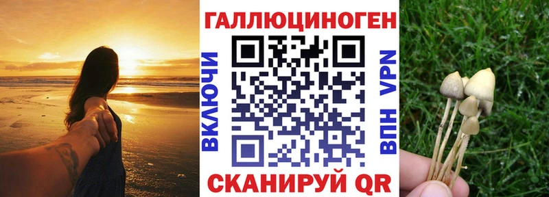 Псилоцибиновые грибы ЛСД  MEGA рабочий сайт  Инза  где можно купить наркотик 